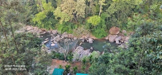 Rivulet Resort very welcoming. Will prefer to stay here whenever I will visit Munnar again. - Review of Rivulet Resort, Munnar... 