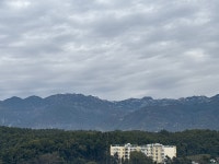 Absolutely Very Nice hotel highly recommend pls visit - Review of Spree Hotel Kriday Dehradun, Dehradun, India - Tripadvisor