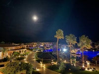 Wonderful Winter break - Review of TUI BLUE Sensatori Coral Sea, Sharm El Sheikh, Egypt - Tripadvisor