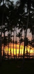 . - Review of Bahia principe la Romana, La Romana, Dominican Republic - Tripadvisor