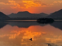 A short but memorable stay in Jaipur! - Review of Trident, Jaipur, Jaipur, India - Tripadvisor