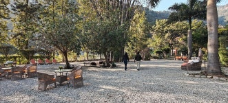 Lush green well maintained resort - Review of The Solluna Resort, Jim Corbett National Park, India - Tripadvisor