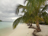 Best experience in Maldive - Review of Villa Nautica, Maldives, Lankanfinolhu Island, Maldives - Tripadvisor