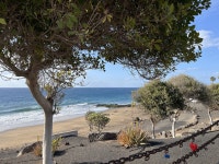 Brilliant - Review of Hotel Pocillos Playa, Puerto Del Carmen, Spain - Tripadvisor