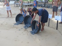 Sleep to the sound of waves - Review of Duli Beach Resort, El Nido, Philippines - Tripadvisor