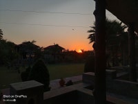 Highly recommending this place for family me time... - Review of Hathi Mauja, Jaipur, India - Tripadvisor