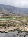Fantastic - Review of Eco Palms House, Sapa, Vietnam - Tripadvisor Fantastic  - Review of Eco Palms House, Sapa, Vietnam... 