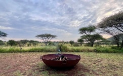 Amazing all in experience! - Review of Serengeti Acacia Bliss Luxury Tented Camp, Seronera, Tanzania - Tripadvisor