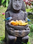 Boquete Garden Inn, Panama - Review of Boquete Garden Inn, Boquete, Panama - Tripadvisor