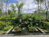 Stay at Inara Alas Harum - Review of Inara Alas Harum, Taro, Indonesia - Tripadvisor
