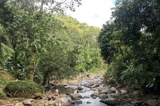 2025 ️Spice Island Private Tour Experience (Grenada) - with Trusted Reviews