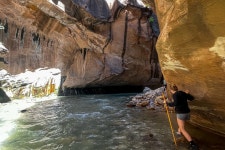 Half Day Guided Hike in Zion National Park (with Reviews)