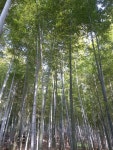 거제 맹종죽테마공원 근처 호텔 베스트 10 - Tripadvisor 거제 맹종죽테마공원 근처 호텔 베스트 10  - Tripadvisor