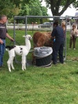리버헤드 Hallockville Museum Farm 근처 호텔 베스트 10 - Tripadvisor 리버헤드 Hallockville Museum Farm 근처 호텔 베스트 10... 
