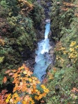미텐발트 콘도 호텔 추천 베스트 5 - Tripadvisor 미텐발트 콘도 호텔 추천 베스트 5  - Tripadvisor