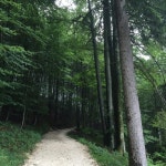 베스트 막트셸렌베르크 민박 추천 - Tripadvisor