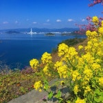 베스트 Kudamatsu 민박 추천 - Tripadvisor