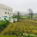 ARA STAY - Prices & Guest house Reviews (Jeju, South Korea) ARA STAY - Prices &  Guest house Reviews (Jeju, South Korea)