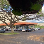 Starbucks, 아이에아 - 레스토랑 리뷰 - 트립어드바이저