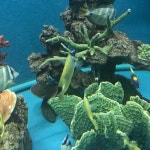 2025년 Samut Sakhon 민박 추천 베스트 10 - Tripadvisor 2025년 Samut Sakhon 민박 추천 베스트 10  - Tripadvisor