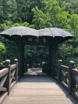 THE CLOSEST Hotels to Daegeumgul, Samcheok