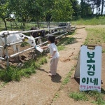 제주 아침미소목장 근처 호텔 베스트 10 - Tripadvisor 제주 아침미소목장 근처 호텔 베스트 10  - Tripadvisor