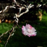 베스트 Thị Tran Nam Ban 민박 추천 - Tripadvisor
