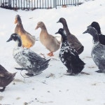 2025년 톨랜드 베스트 민박 추천 - Tripadvisor