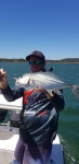 Winter kingfish fun on soft plastics and jigs 👌🎣 - Wildside Sportfishing, 사우스웨스트 록스 사진 - 트립어드바이저