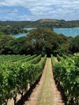 THE 10 CLOSEST Hotels to Goldie Estate, Waiheke Island