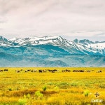 Pacha Mama (카사블랑카) - 호텔 리뷰