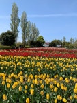 THE 10 CLOSEST Hotels to Wada Park, Inashiki