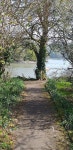 The marina - Rivers End Cafe, Crosshaven 사진 - 트립어드바이저