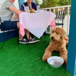 La Piccola Casa Restaurant, Mamaroneck - 레스토랑 리뷰 - 트립어드바이저