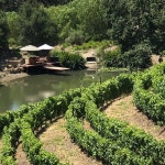 솔뱅 Solvang Wine Tours 주변 베스트 모텔 10 곳 - 트립어드바이저