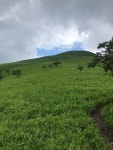 유후 Imorigajo 근처 호텔 베스트 10 - Tripadvisor 유후 Imorigajo 근처 호텔 베스트 10  - Tripadvisor