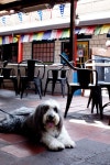 소노마 Murphys Irish Pub 근처 호텔 베스트 10 - Tripadvisor 소노마 Murphys Irish Pub 근처 호텔 베스트 10  - Tripadvisor