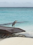 베스트 Fushifaru 가족여행 호텔 추천 - Tripadvisor