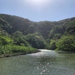 THE 10 CLOSEST Hotels to Yatsuse River, Ogasawara-mura