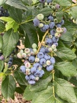 티머루 Blueberry Haven 근처 호텔 베스트 10 - Tripadvisor 티머루 Blueberry Haven 근처 호텔 베스트 10  - Tripadvisor