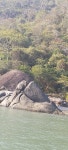 View of part of Honeymoon Beach and shop - Honeymoon Beach, 고아 사진 - 트립어드바이저