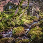 Borrowdale 세탁 서비스를 제공하는 호텔 추천 - Tripadvisor