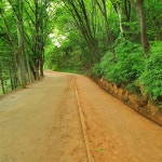 대전 계족산 황톳길 근처 호텔 베스트 10 - Tripadvisor 대전 계족산 황톳길 근처 호텔 베스트 10  - Tripadvisor