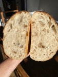 Sourdough Bagels - Kulina Lani Organic Sourdough Bread, 그랜드 정크션 사진 - 트립어드바이저