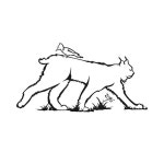 에스티스 파크 Rewilding Expeditions 근처 호텔 베스트 10 - Tripadvisor 에스티스 파크 Rewilding Expeditions 근처 호텔... 