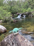 THE CLOSEST Hotels to Scouts Falls, Glenreagh