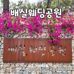 대구 배실웨딩테마공원 주변 베스트 리조트 10 곳 - 트립어드바이저