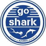 오르타 Go Shark Azores 주변 베스트 모텔 10 곳 - 트립어드바이저