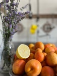 베스트 Usigliano 호스텔 추천 - Tripadvisor