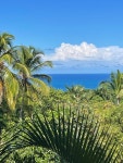 CATALINA TROPICAL LODGE - Prices & Hotel Reviews (Dominican Republic/Cabrera) CATALINA TROPICAL LODGE - Prices &  Hotel Reviews... 